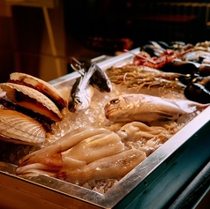 Yokohama Bayside Grillの特集写真