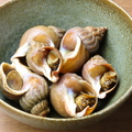 料理メニュー写真&nbsp;磯ツブ