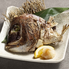 数量限定 鯛の兜焼き
