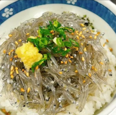 湘南生しらす丼