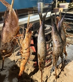 炭香 臼山皿 ウスヤマサラのおすすめ料理2