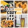 串揚げCOZYダイナーの画像
