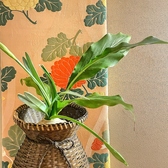 お化粧室にも花は欠かせません。花茗荷の葉に今週にも咲き出すラッパ水仙の花。