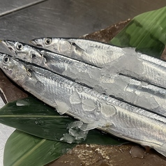 今季初入荷!!根室産生サンマ
