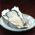 料理メニュー写真 生牡蠣（3種盛/4種盛）