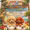 LeaLea kitchen レアレアキッチンのおすすめポイント3