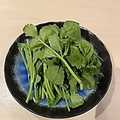 追加具材