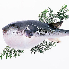 サンミ Sun-mi 本店 香川のコース写真