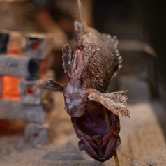 はまさき村 江ノ島店の特集写真