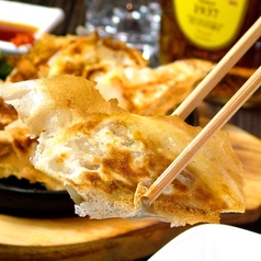 餃子 熱包特集写真1