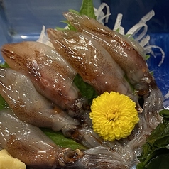 ほたるかいか刺し