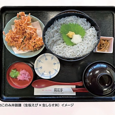 釜揚げ　お好み丼御膳