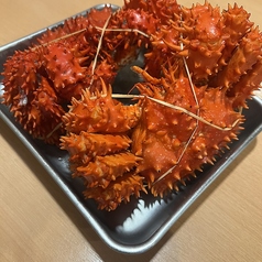 根室産 花咲カニ(500g)サイズの姿盛り