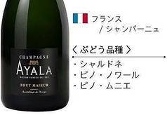 シャンパーニュアヤラブリュットマジュール（Bottle）