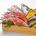 旬の鮮魚、玄界灘の採れたて鮮魚をふんだんに使用します。
