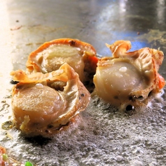 鉄板料理も豊富