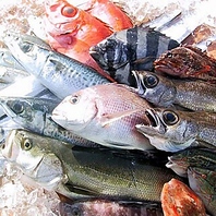 【五島列島から毎日届く新鮮な海の幸】