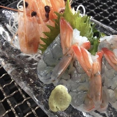 天使の海老の刺身