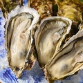 料理メニュー写真&nbsp;大船渡より！生牡蠣または焼牡蠣！