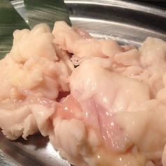 プリプリ牛ホルモン