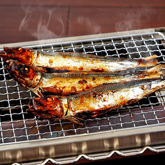 うるめ鰯の丸干し(1尾)