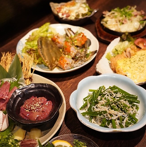 【栄駅徒歩約4分】篠島産の新鮮や魚介や奥三河鶏を使った鉄板焼きを楽しめる居酒屋◎