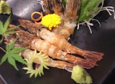ガサエビ刺し