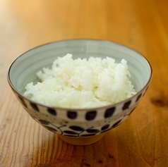 ライス