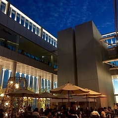 SKY GARDEN スカイガーデン 300の特集写真