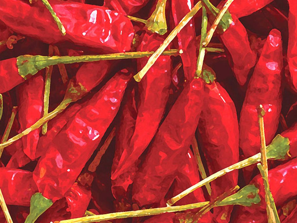 から～い鍋の元はトウガラシ！カプサイシンたっぷり♪