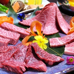飛び牛の写真