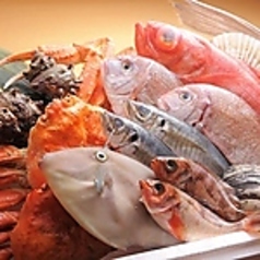 魚の三是 新宿西口大ガード店の特集写真