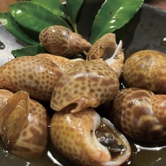 バイ貝の煮つけ