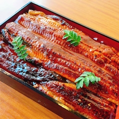 蒲焼きまるまる一匹うな重