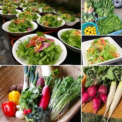 本日の自家農園野菜サラダ