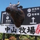 直接佐賀県まで訪問し、中山牧場さんという佐賀牛の生産者さんとお話をして、直接配送のルートを仕入れました。野菜も全て市場の新鮮なものを使っております！