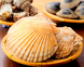 長井港から地魚、豊洲市場から浜焼き貝を厳選仕入れ！