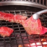 焼肉 藤虎 ふじとら 新潟駅前店のおすすめポイント3