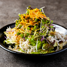 しらすのからすみサラダ