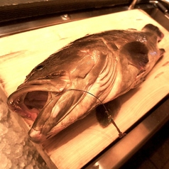 表邸の【本あら(くえ)】は20Kg~30Kgの一本釣り天然物を使用。
