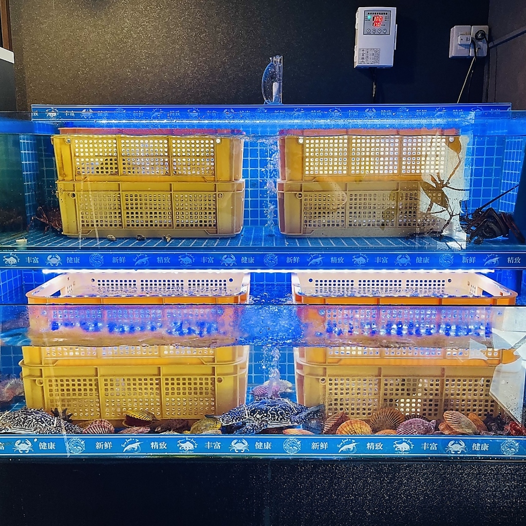 活魚水槽を設置しています！水槽から取り出したばかりの新鮮な海鮮をお楽しみください♪
