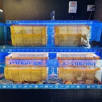 活魚水槽を設置しています！水槽から取り出したばかりの新鮮な海鮮をお楽しみください♪