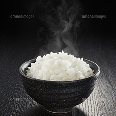 ご飯(大・中・小)