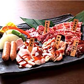 情熱ホルモン 向日町酒場のおすすめ料理3