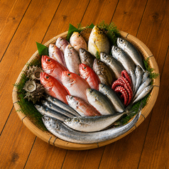 全国各地から届く鮮度抜群の旬魚を豪快に味わう逸品盛り