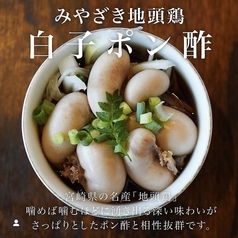みやざき地頭鶏　白子ぽん酢