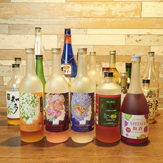 週替わり梅酒と揚げ料理 ENCOUNTER のコース写真