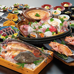 本格板前居酒屋 お魚総本家 新宿西口店の特集写真