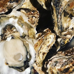 five oyster 5オイスター