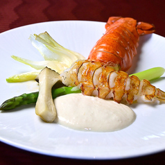 マルコポーロの特集写真